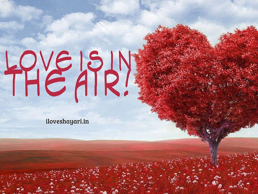 Romantic Love and in, love status HD wallpaper | Pxfuel