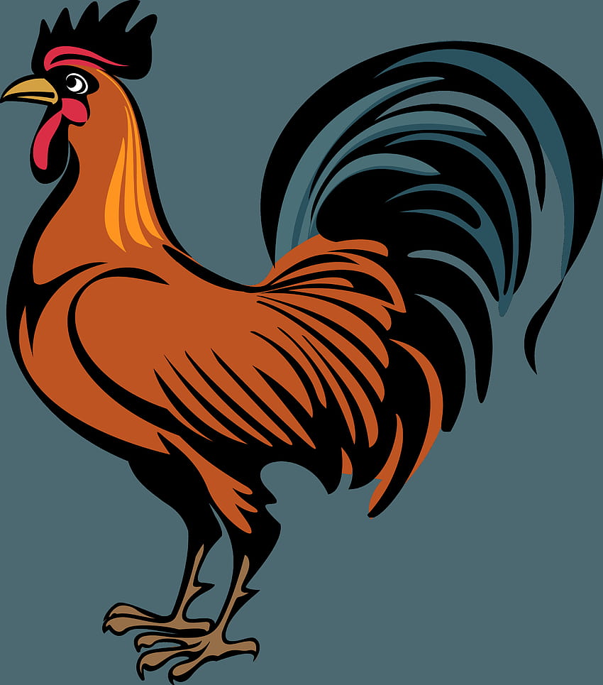 Pelea de gallos png 2 » PNG, pelea de gallos fondo de pantalla del teléfono  | Pxfuel