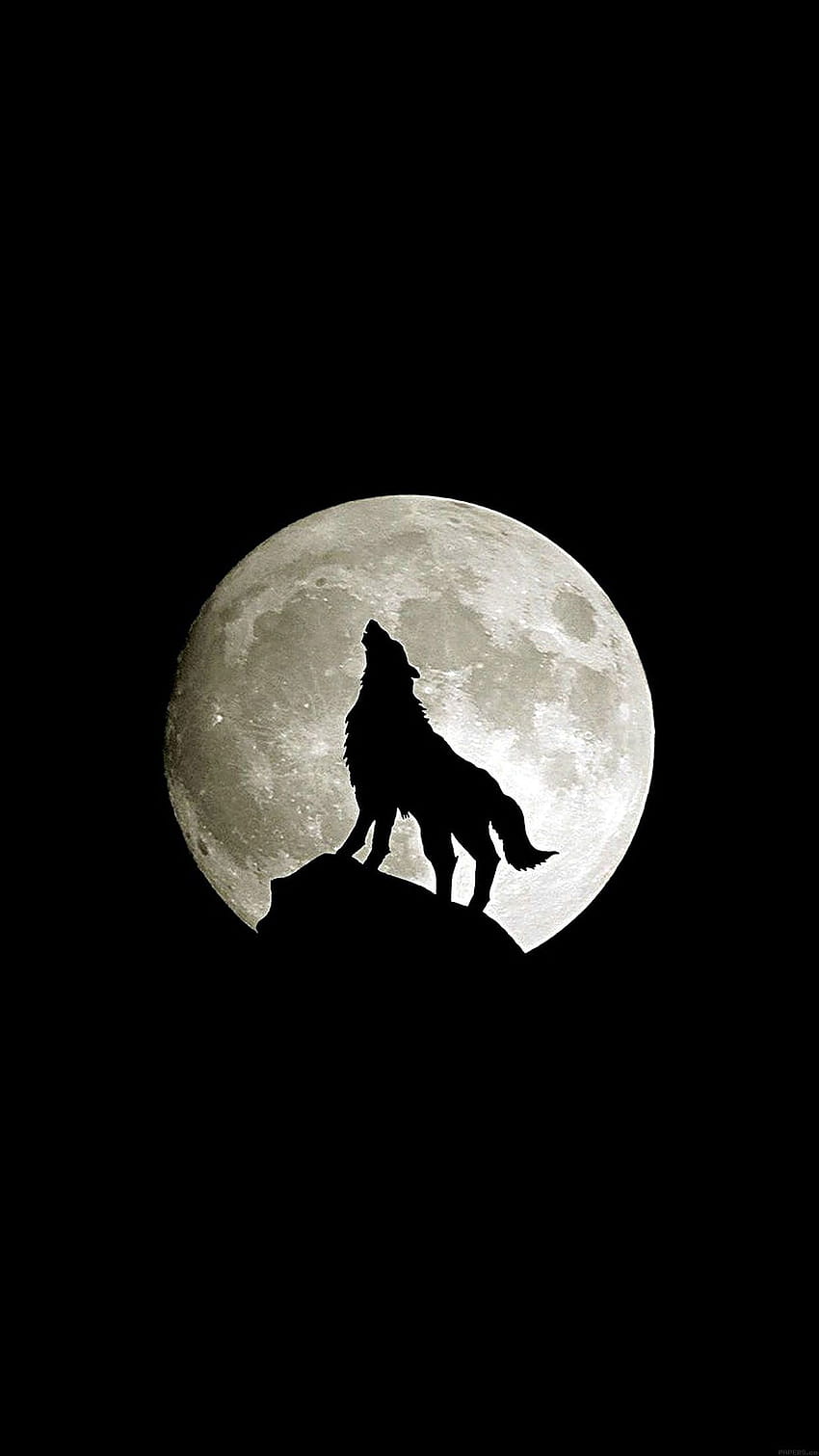 Wolf Howling, Zoey Peltier tarafından gönderildi, kurt adam minimalist HD telefon duvar kağıdı