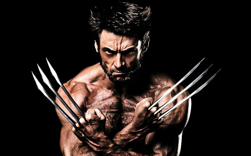 Hugh Jackman, Wolverine, X Men, Adamantium, Claws / and Mobile Backgrounds, wolverine x men art HD wallpaper