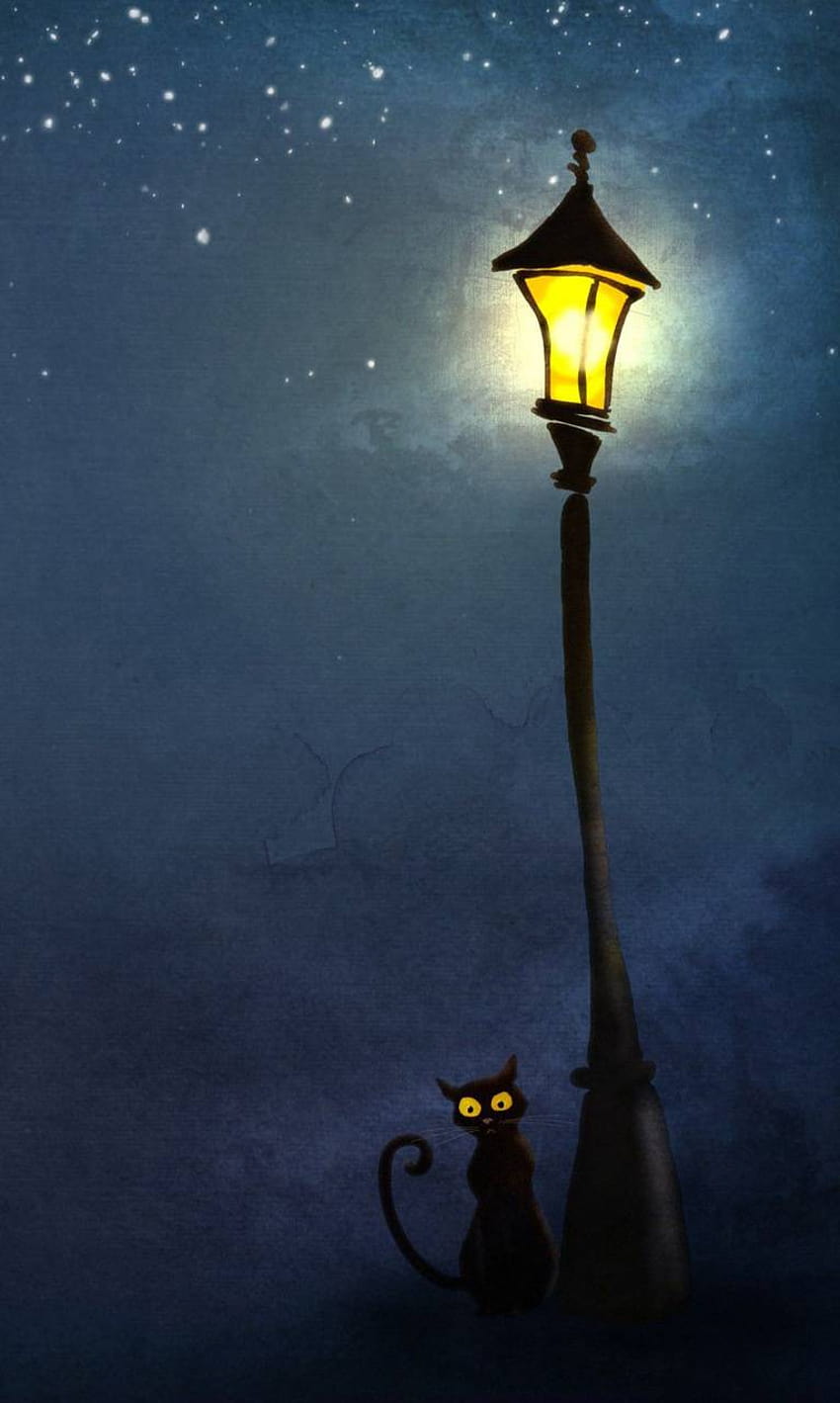 Cat and lamp post by e54532 HD phone wallpaper
