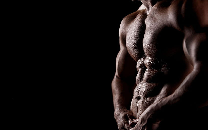 Hot Muscle Body, muscles HD wallpaper