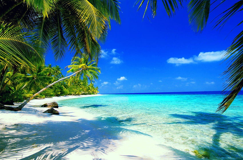 26478 beach paradise HD wallpaper