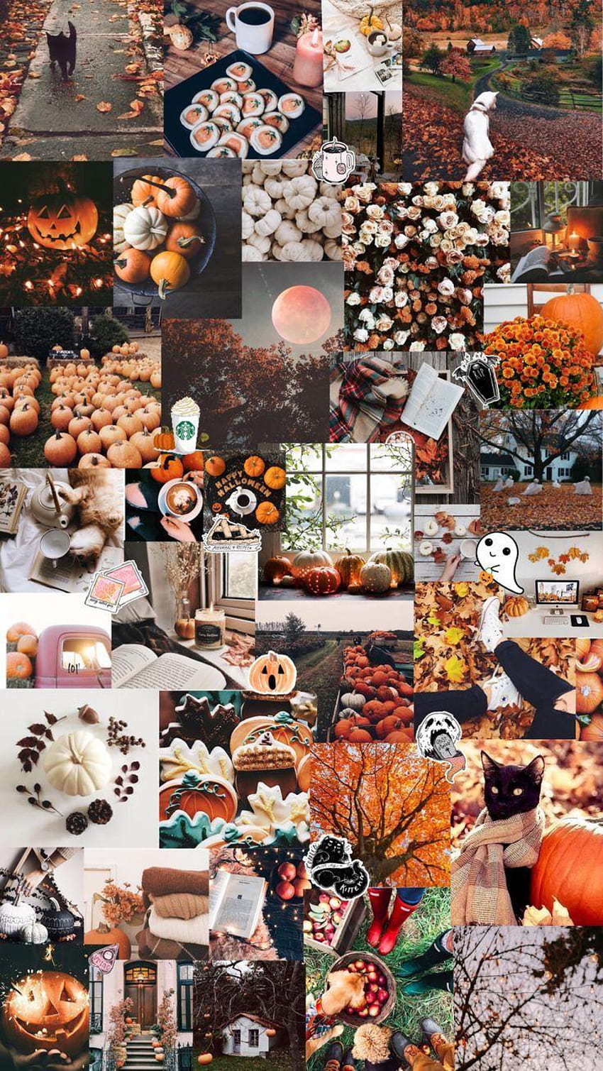 Herbst / Halloween ästhetischer Hintergrund HD-Handy-Hintergrundbild