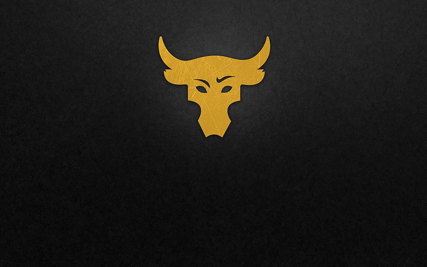 bull , Backgrounds, bull head HD wallpaper