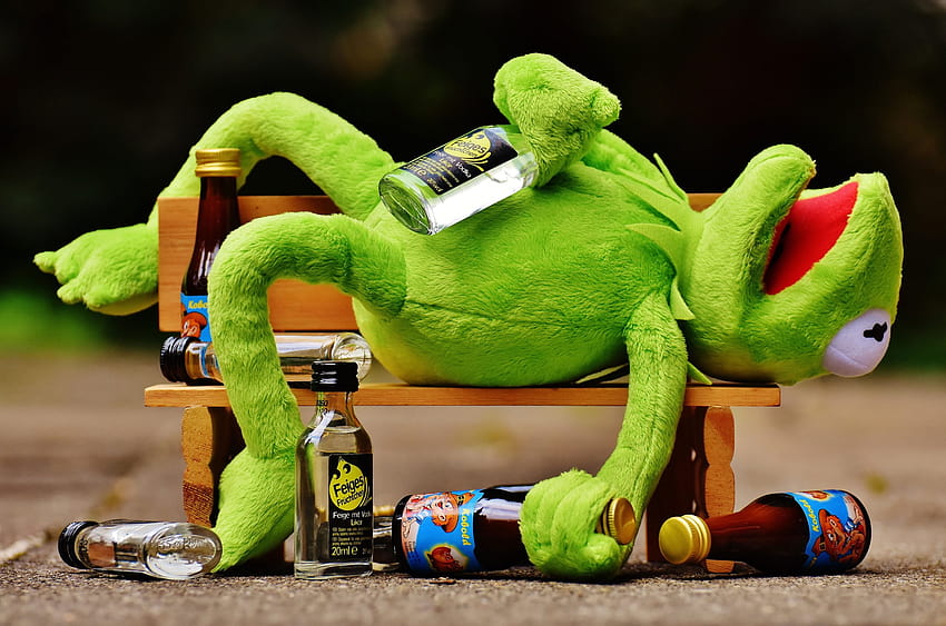 Kermit la grenouille avec des bouteilles en verre posées sur un banc en bois, boisson • For You For & Mobile, kermit drôle Fond d'écran HD