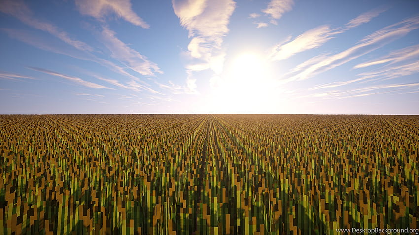 Пшеница, майнкрафт ферма HD тапет