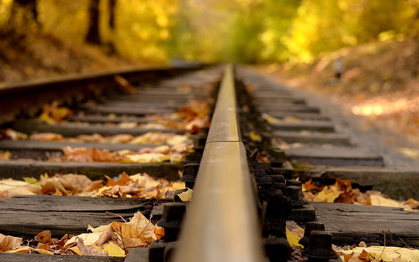 Railway tracks in autumn for PC 1920x1080 Full HD wallpaper