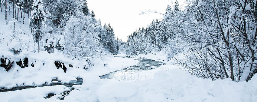 2560x1024 river, trees, snow, landscape, winter ultrawide monitor backgrounds, ultra wide winter HD wallpaper