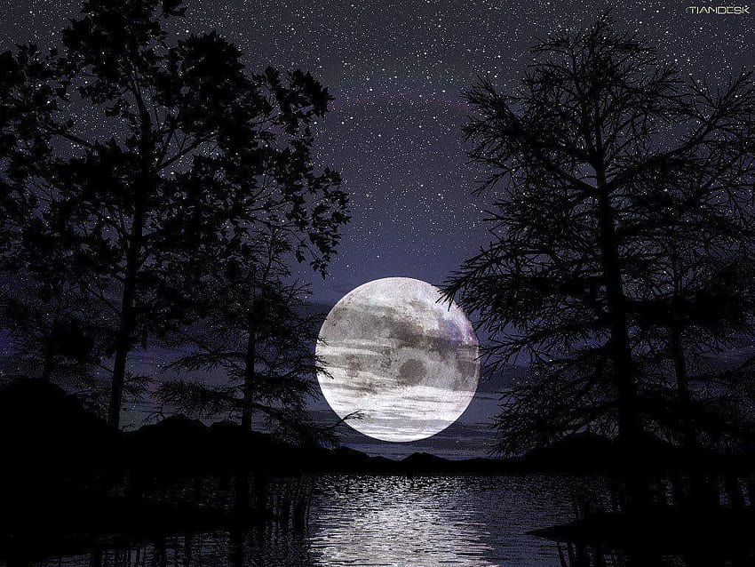 Full Moon posted by Michelle Johnson, moon full screen HD wallpaper