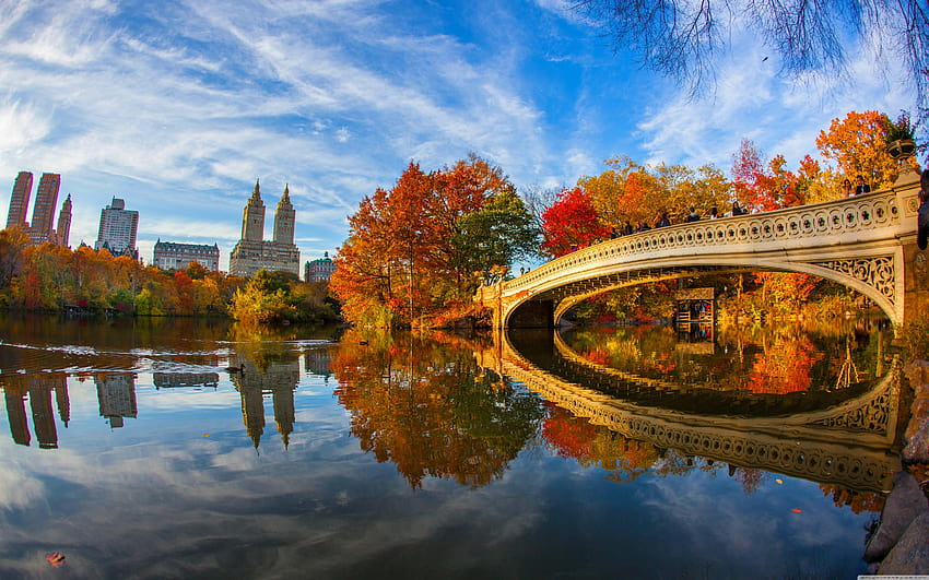 Jesienne liście w Central Parku w Nowym Jorku ❤, jesienny Central Park w Nowym Jorku Tapeta HD