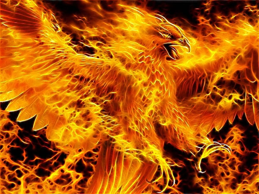 Fire Phoenix, phoenix menyala yang keren Wallpaper HD