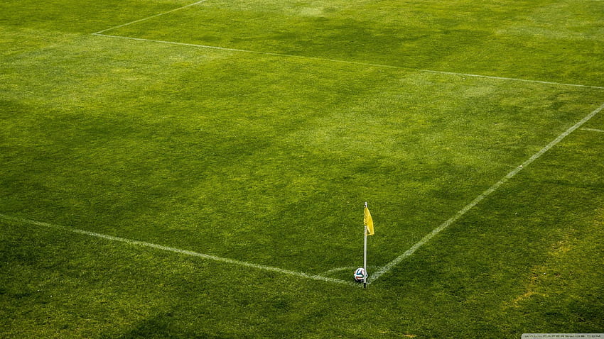 Soccer Field Stadium ❤ for Ultra, sports fields HD wallpaper