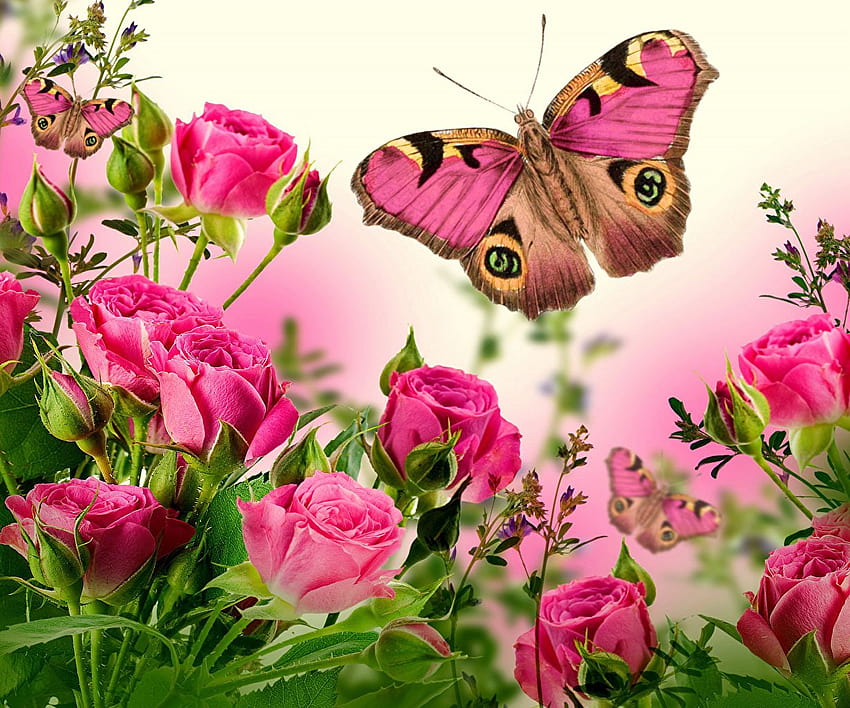 Rose And Butterfly posted by Michelle Thompson, butterflies and roses ...