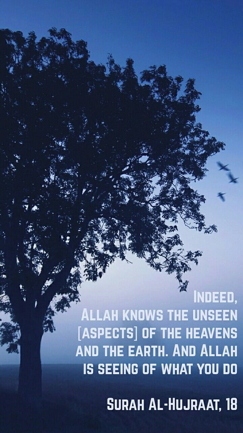 Page 2 | muslim quote HD wallpapers | Pxfuel
