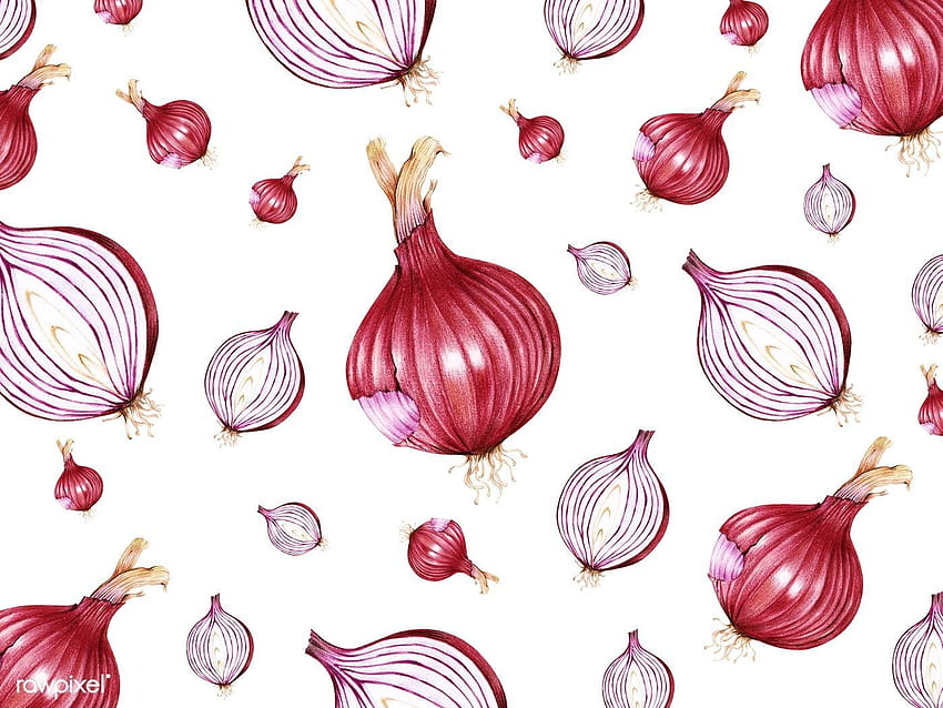 Hand drawn watercolor of red onion, shallot HD wallpaper
