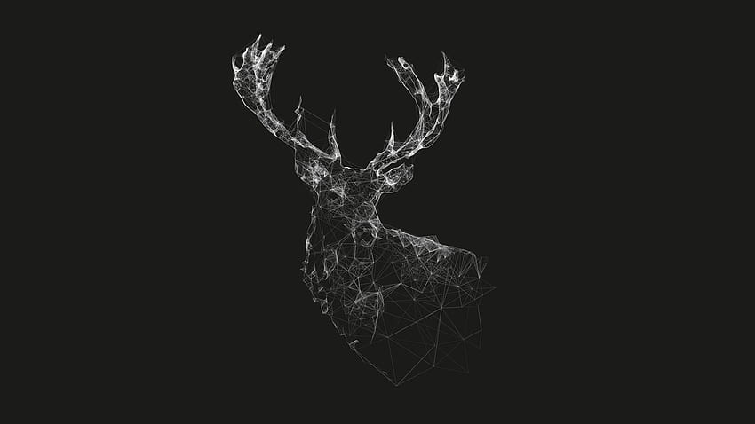 weiße Hirschskizze, grauer Hirsch digital, Geometrie, Drahtmodell • Für Sie, für und für Mobilgeräte HD-Hintergrundbild