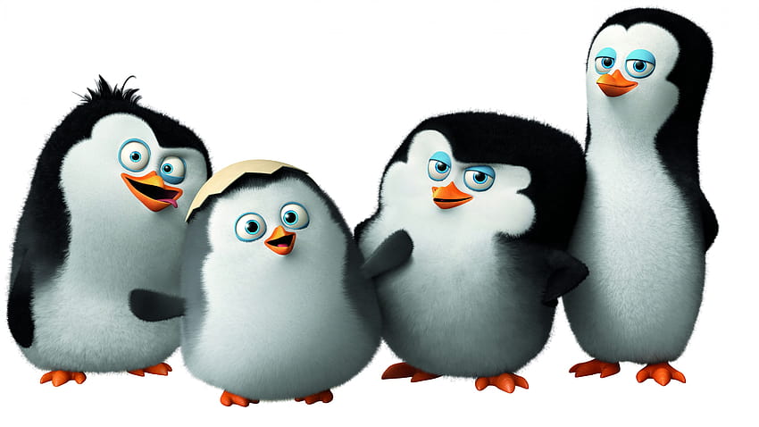 Penguin Madagaskar, penguin imut, kartun, penguin kartun Wallpaper HD