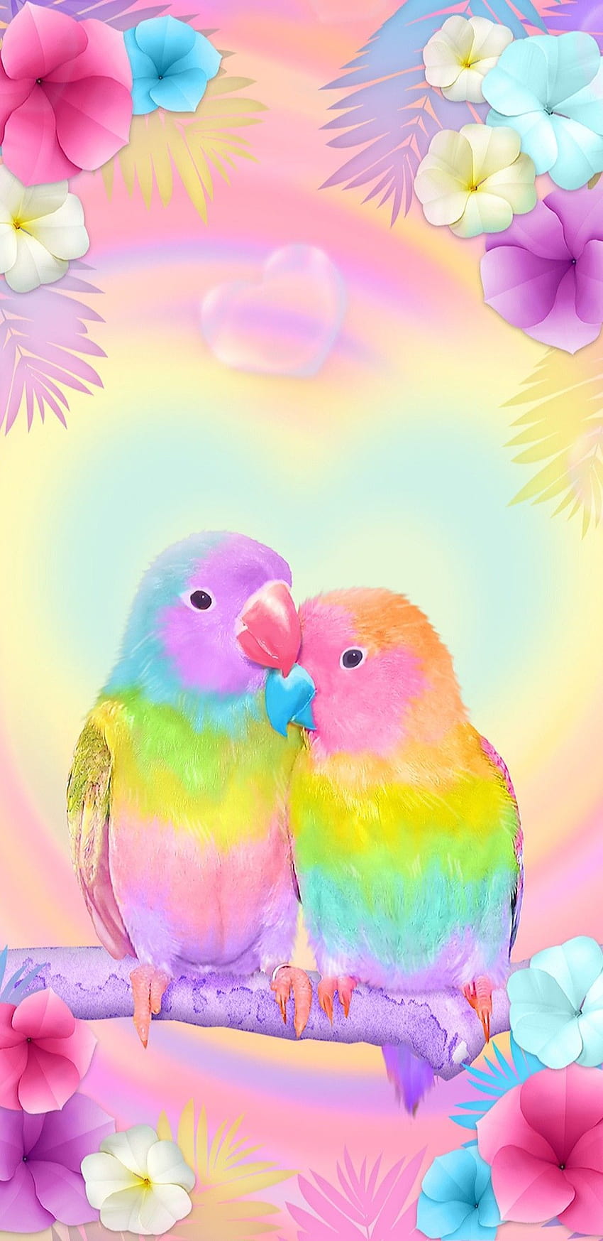 Rainbow lovebird, mobile rainbow parrot HD phone wallpaper