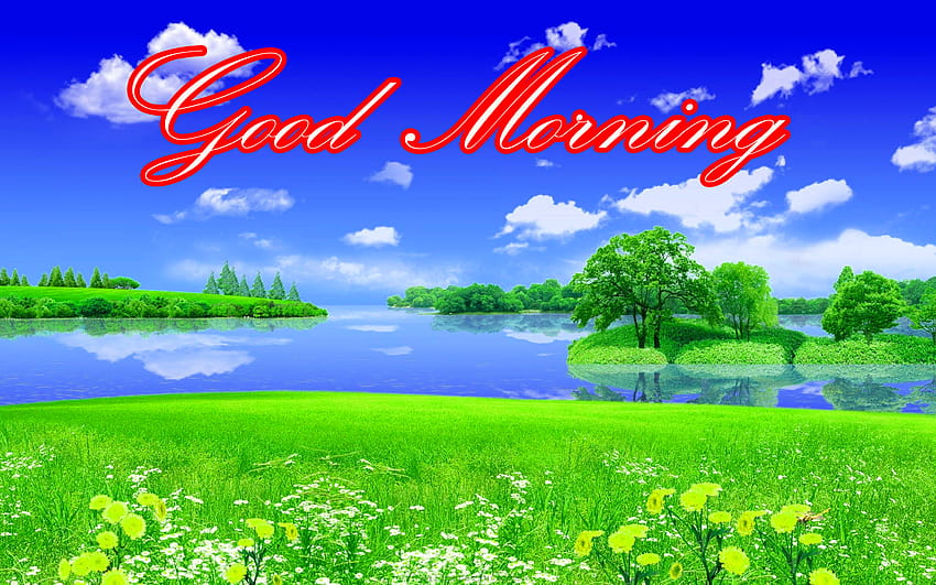 Latest Good Morning Pics For, nature good morning HD wallpaper | Pxfuel
