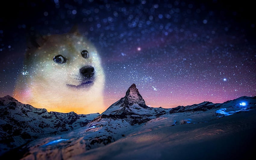 7 Doge Space、犬のミーム 高画質の壁紙