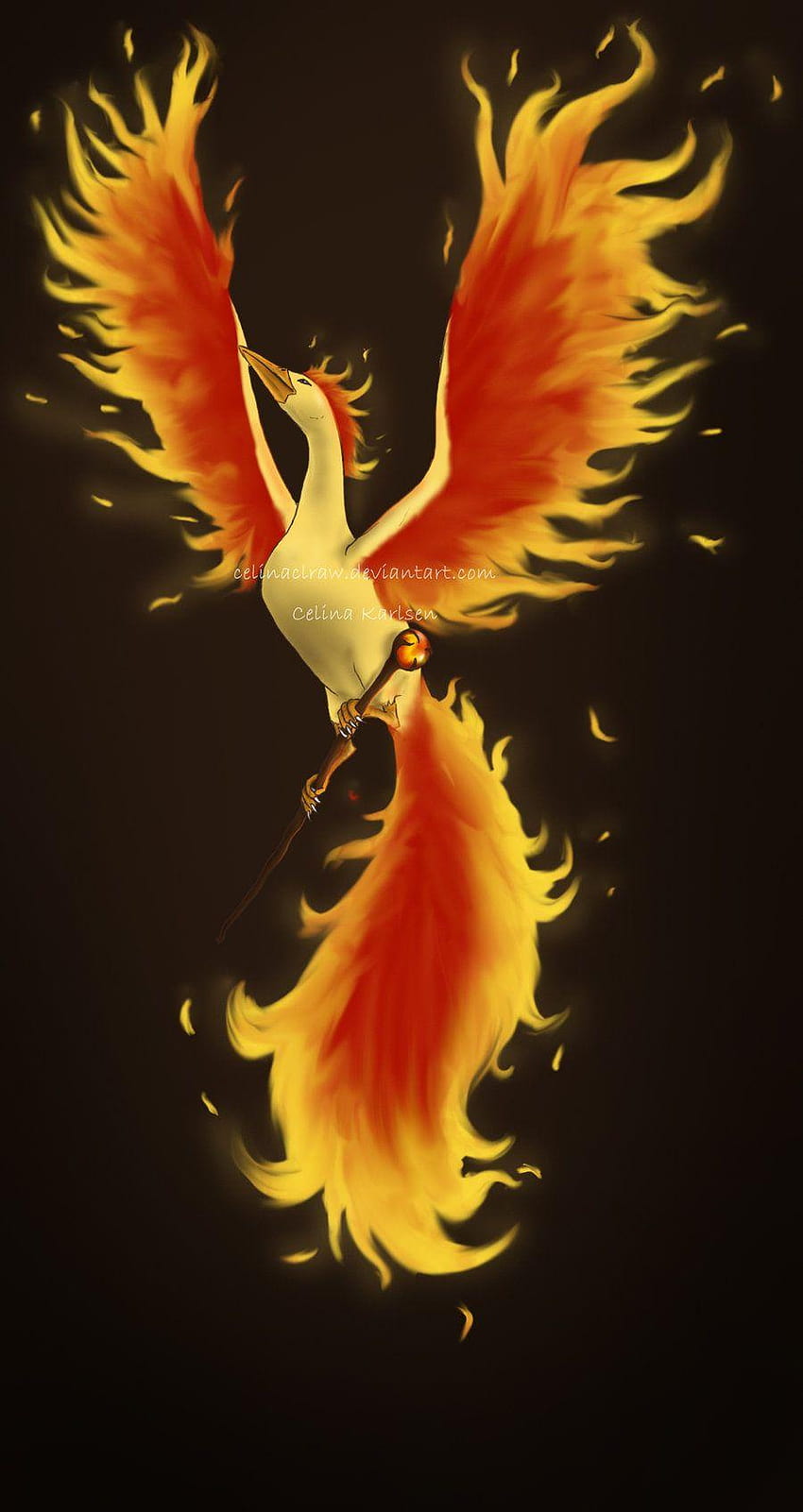 Moltres by celinaclraw HD phone wallpaper