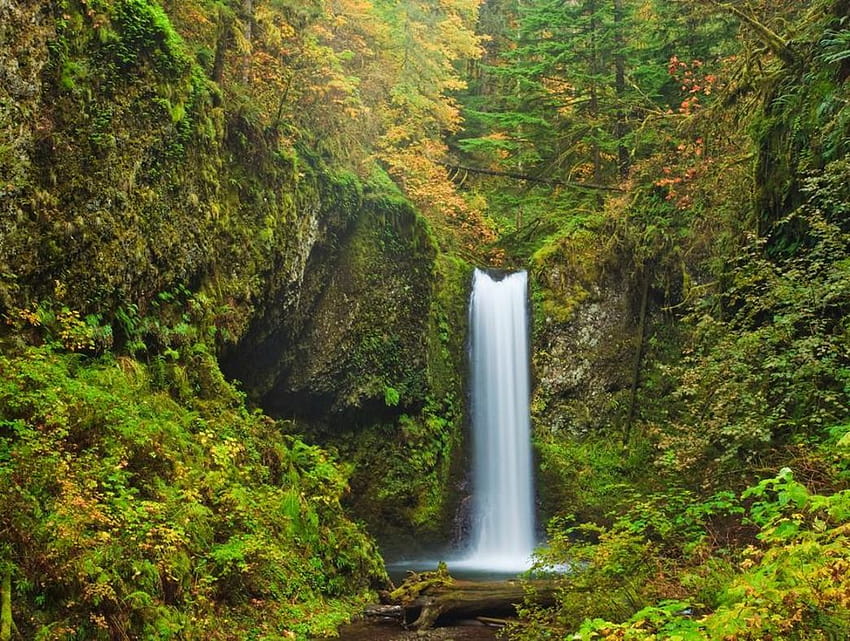 5 от най-недооценените водопади в дефилето на река Колумбия, elowah falls Орегон Дефилето на река Колумбия HD тапет