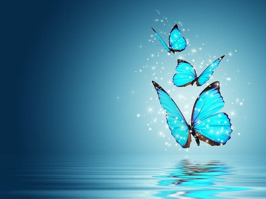 Kelebekler: Mood Kelebek Kelebekler Glow Blue Magic Water Purple, kelebek mavi arka plan HD duvar kağıdı