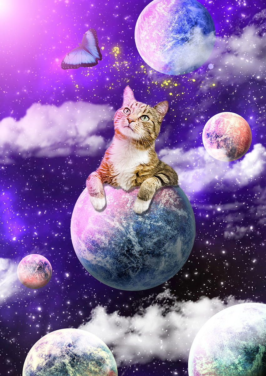 Tom Maierle, astronaut cat HD phone wallpaper