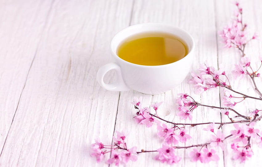 branches, spring, Sakura, flowering, wood, pink, blossom, cup, sakura, cherry, spring, tea, bloom, Cup of tea , section еда, tea spring HD wallpaper