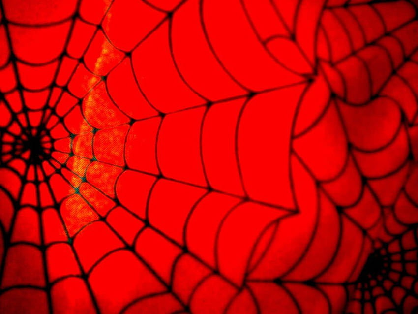 Latar belakang Spiderman Spider Web, jaring manusia laba-laba Wallpaper HD