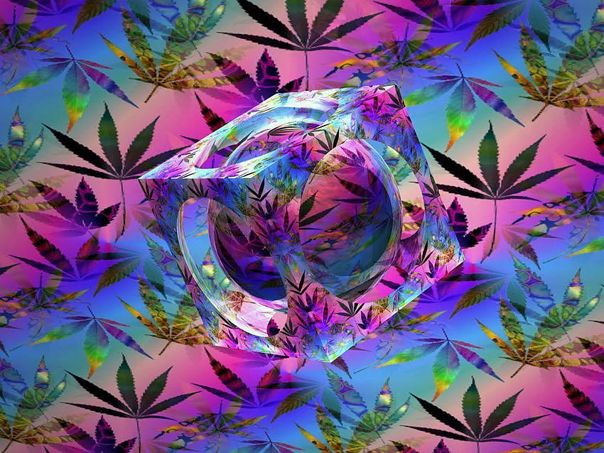 420 weed, tripp HD wallpaper