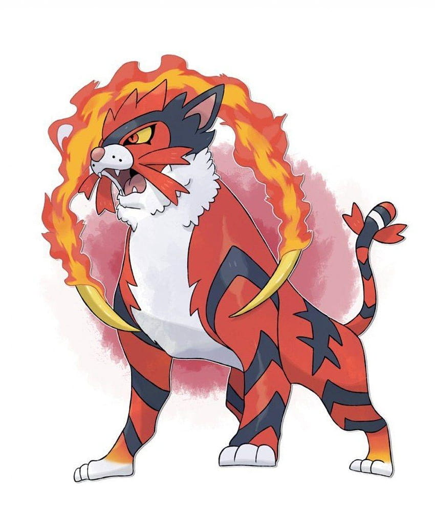 Pokemon Sun And Moon Litten Evolution Full Hd Phone Wallpaper Pxfuel