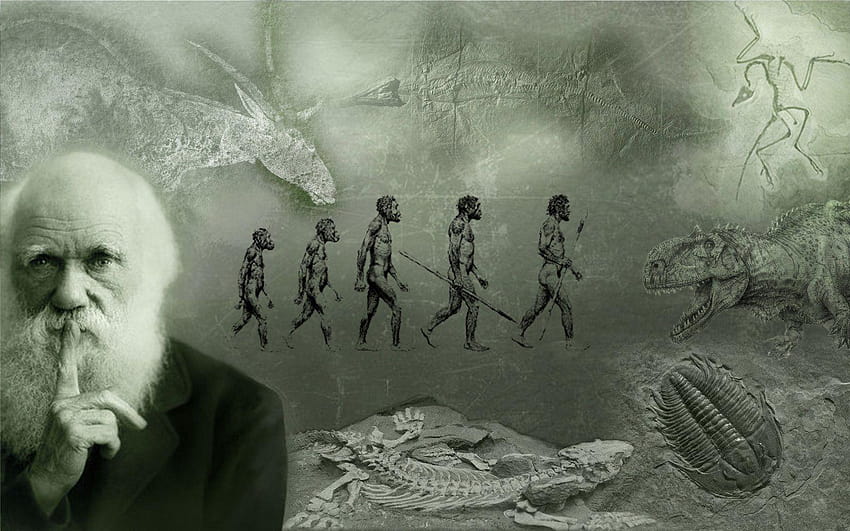 Evolución darwin, charles darwin fondo de pantalla