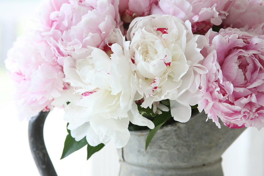 Premium AI Image  A pink background with peonies and flowers
