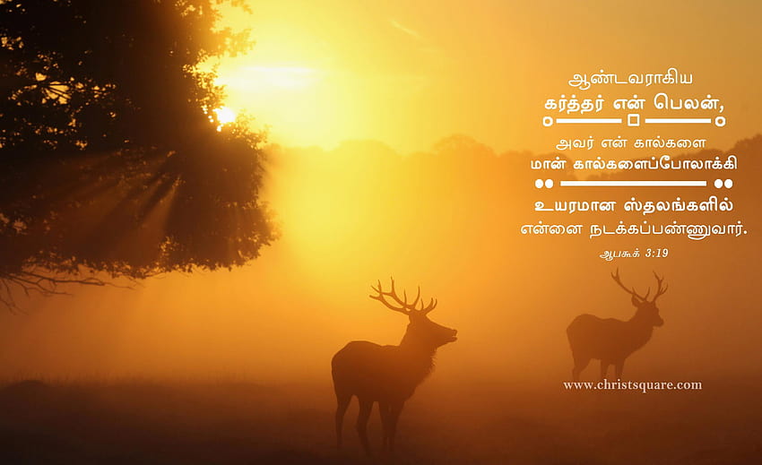 jesus christ wallpaper with bible verse in tamil
