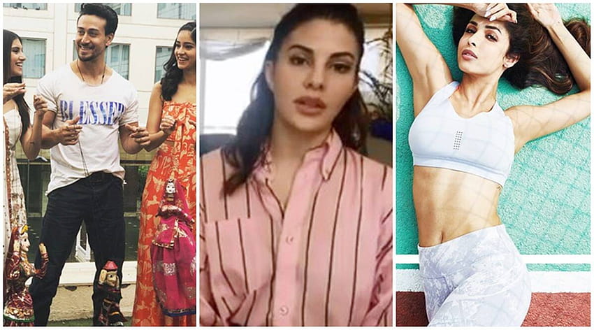 Have you seen these videos of Tiger Shroff, Jacqueline Fernandez and Malaika Arora? HD wallpaper