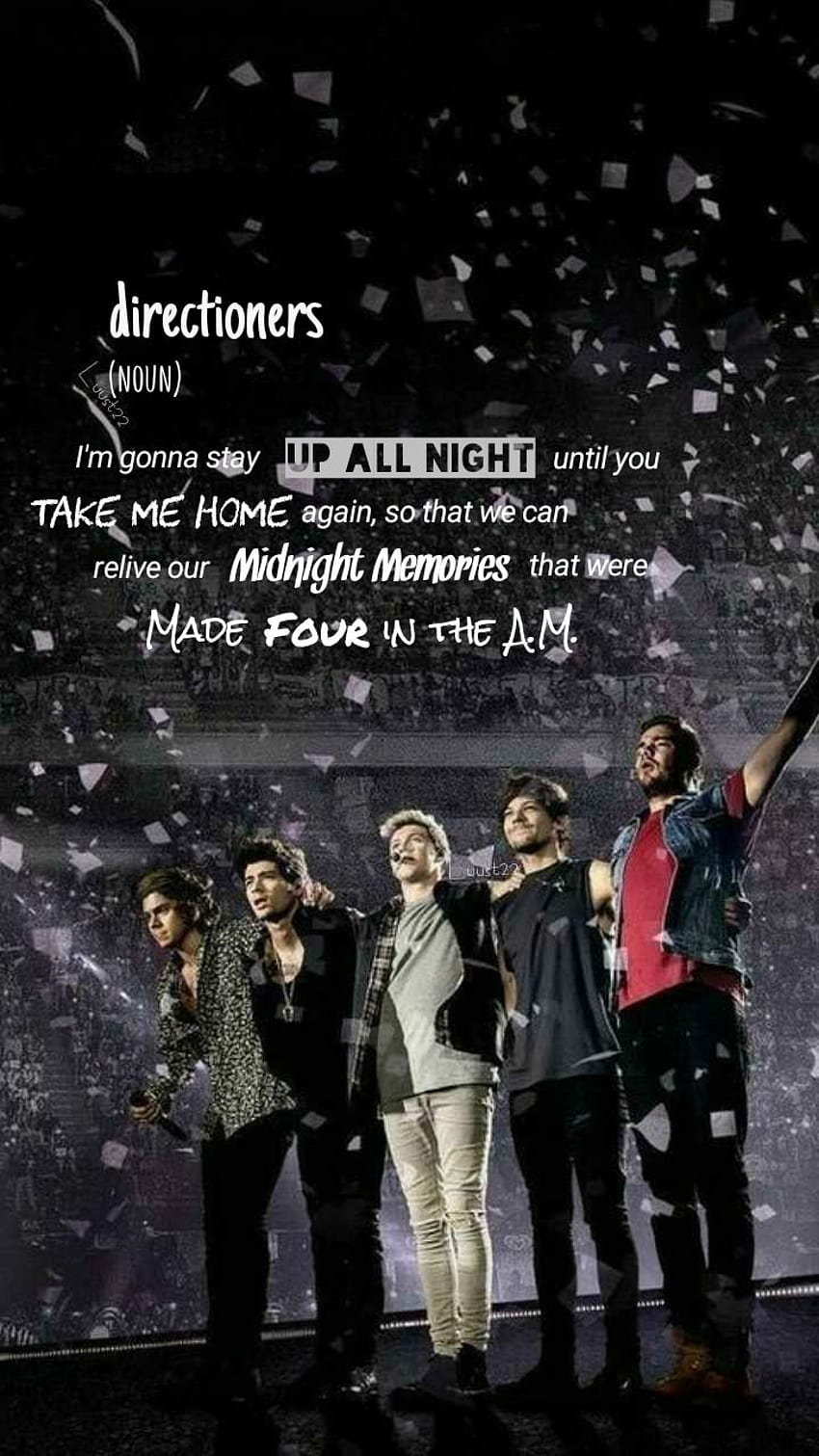 One Direction Where We Are Tour ~ estetica lockscreen dei direttori di gruppo, album one direction Sfondo del telefono HD