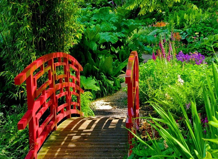 สวน สะพาน ดอกไม้ญี่ปุ่น หญ้า สวยงาม ฤดูร้อน ต้นไม้ ธรรมชาติ สีแดง พื้นหลังแบบเต็ม วอลล์เปเปอร์ HD