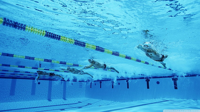 Swim, natation HD wallpaper