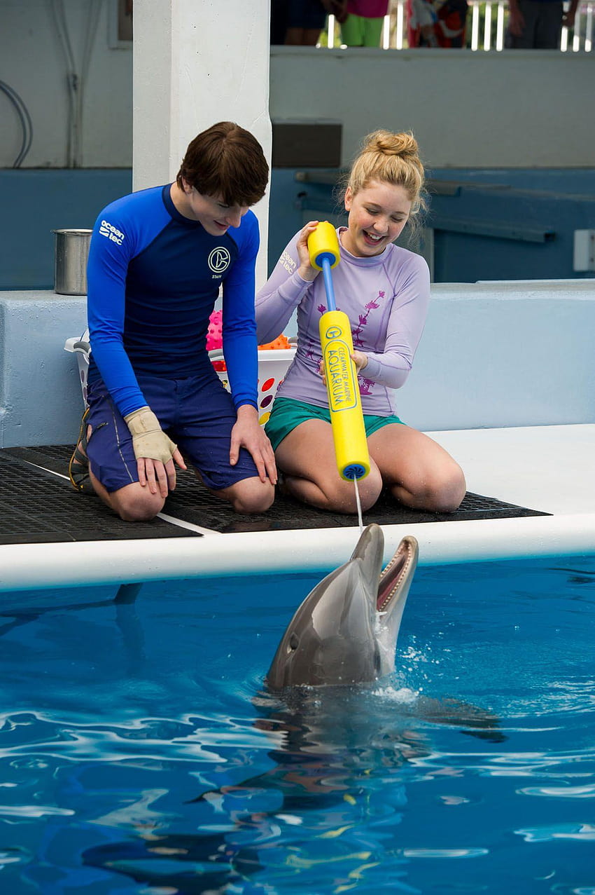 Watch First Trailer To Dolphin Tale 2 HD phone wallpaper