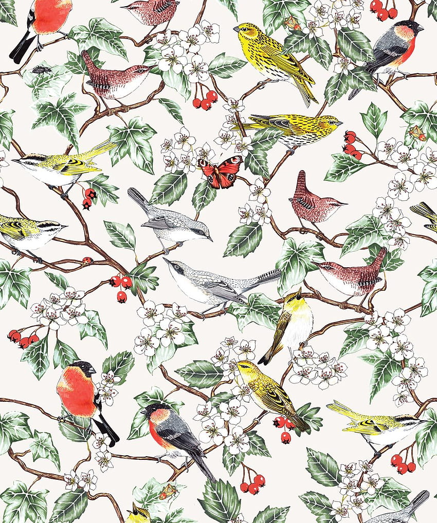 Hawthorn, A Celebration of Botanical Bird • Milton & King HD phone wallpaper