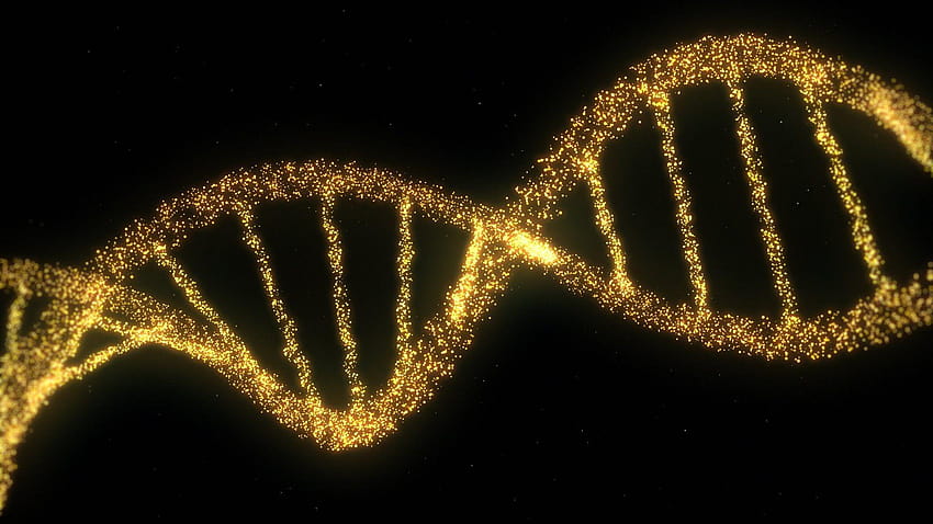 ADN double hélice brin de particules, chaîne d'adn Fond d'écran HD