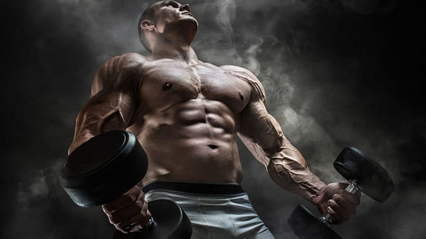 Bodybuilding 2015, body building motivation HD wallpaper