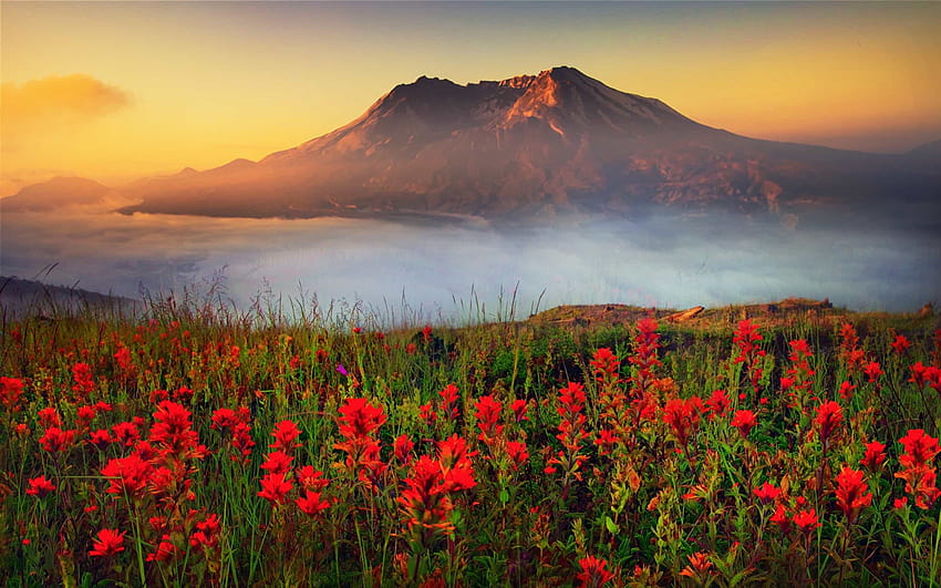 Best 4 Mount St. Helens on Hip, mt st helens HD wallpaper