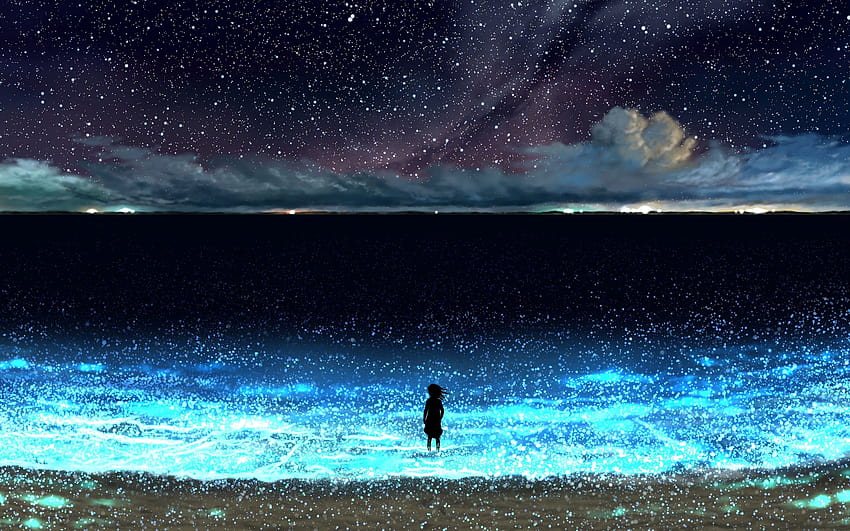 Anime, Night, Sky, Stars, Beach, Scenery, ocean night sky anime HD wallpaper