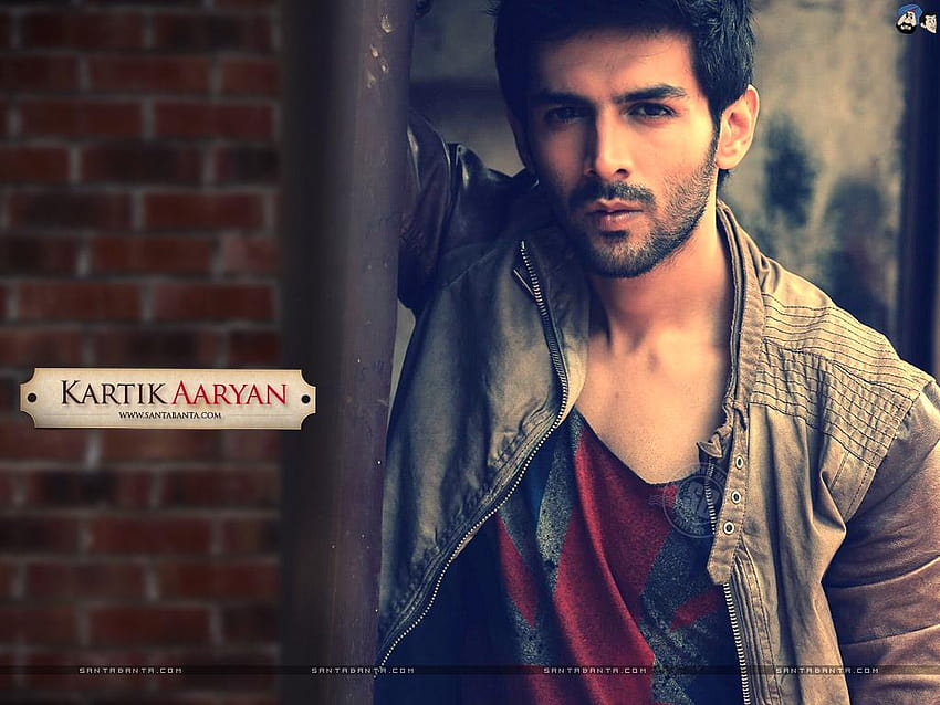 Hot of Bollywood Stars & Actors, kartik aaryan HD wallpaper | Pxfuel