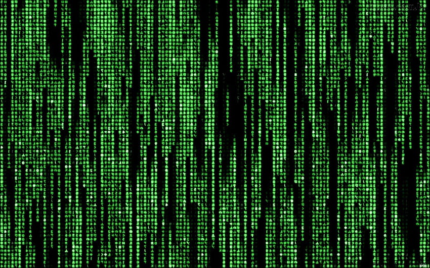 The Matrix Live Group HD wallpaper