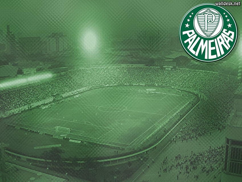Foto do Palestra Itália, escudo do Palmeiras, palmeiras mancha verde HD wallpaper
