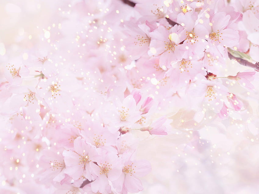 Pink Anime GIF  Pink Anime Flowers  Discover  Share GIFs